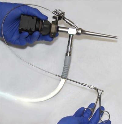 Best Reposable Instruments for Veterinarians | VetOvation