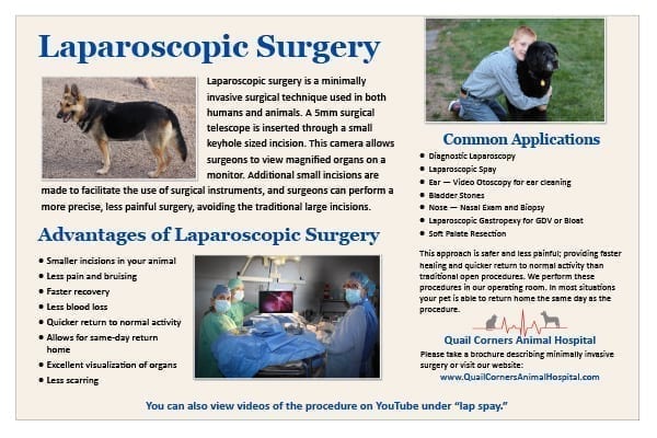 Laparoscopy Brochure