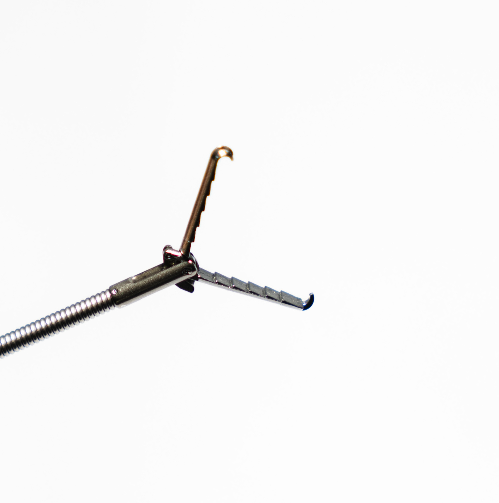 Rat Tooth Grasping Forceps (Long Jaws) - 2.4mm diameter
