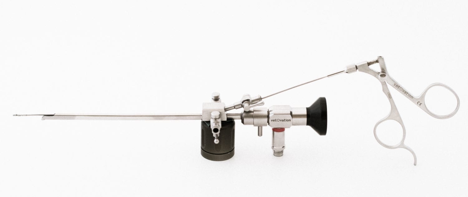 Rhinoscope Set - Cystoscope Set - Scopes - VetOvation