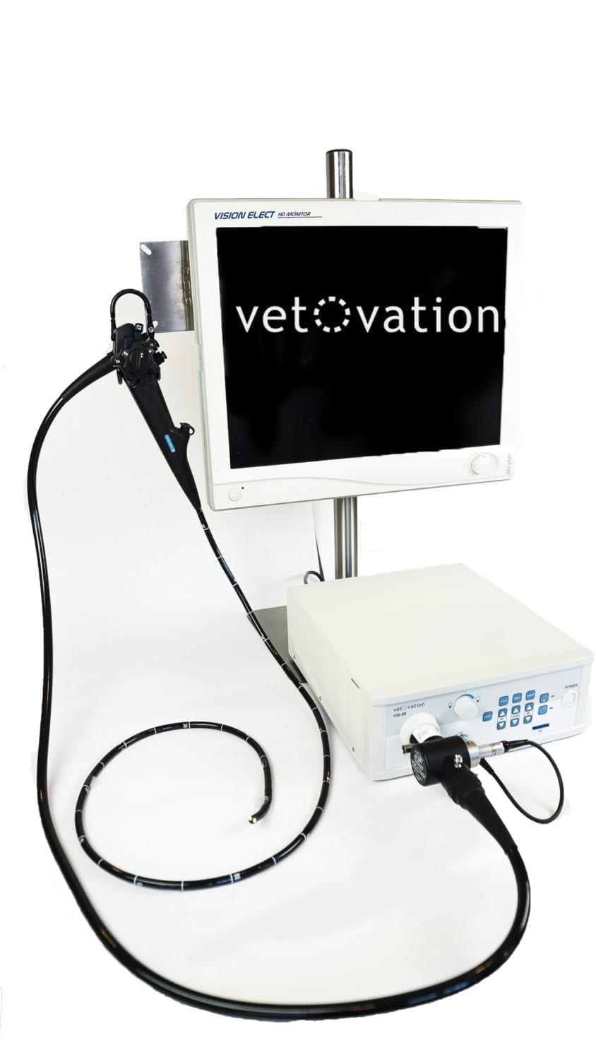 Flexible Endoscopy for Veterinarians