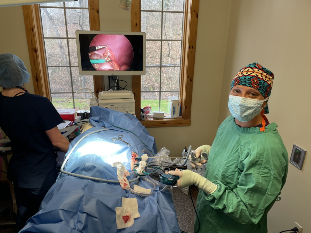 veterinarians performing surgery with a vessel sealing device from VetOvation