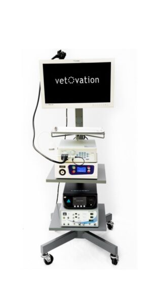 veterinary endoscope equipment from Vetovation