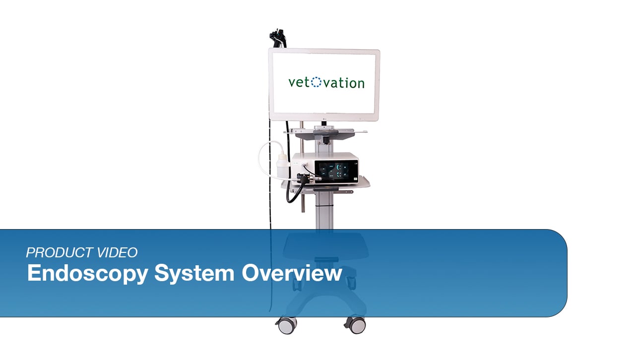 Endoscopy System for Veterinary use