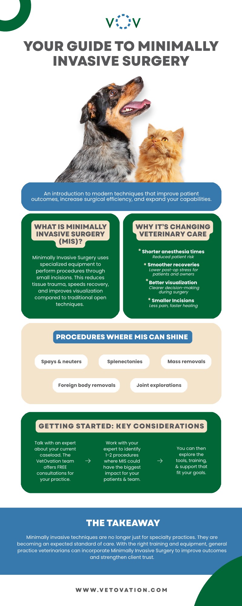 MIS infographic image