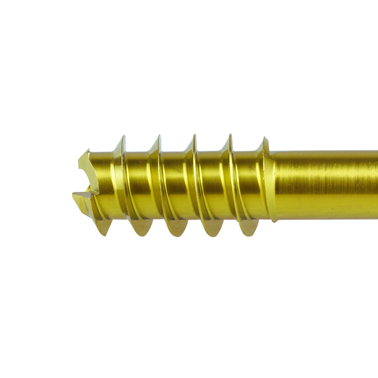 Headless Compression Screw_0,5x_PNG_1