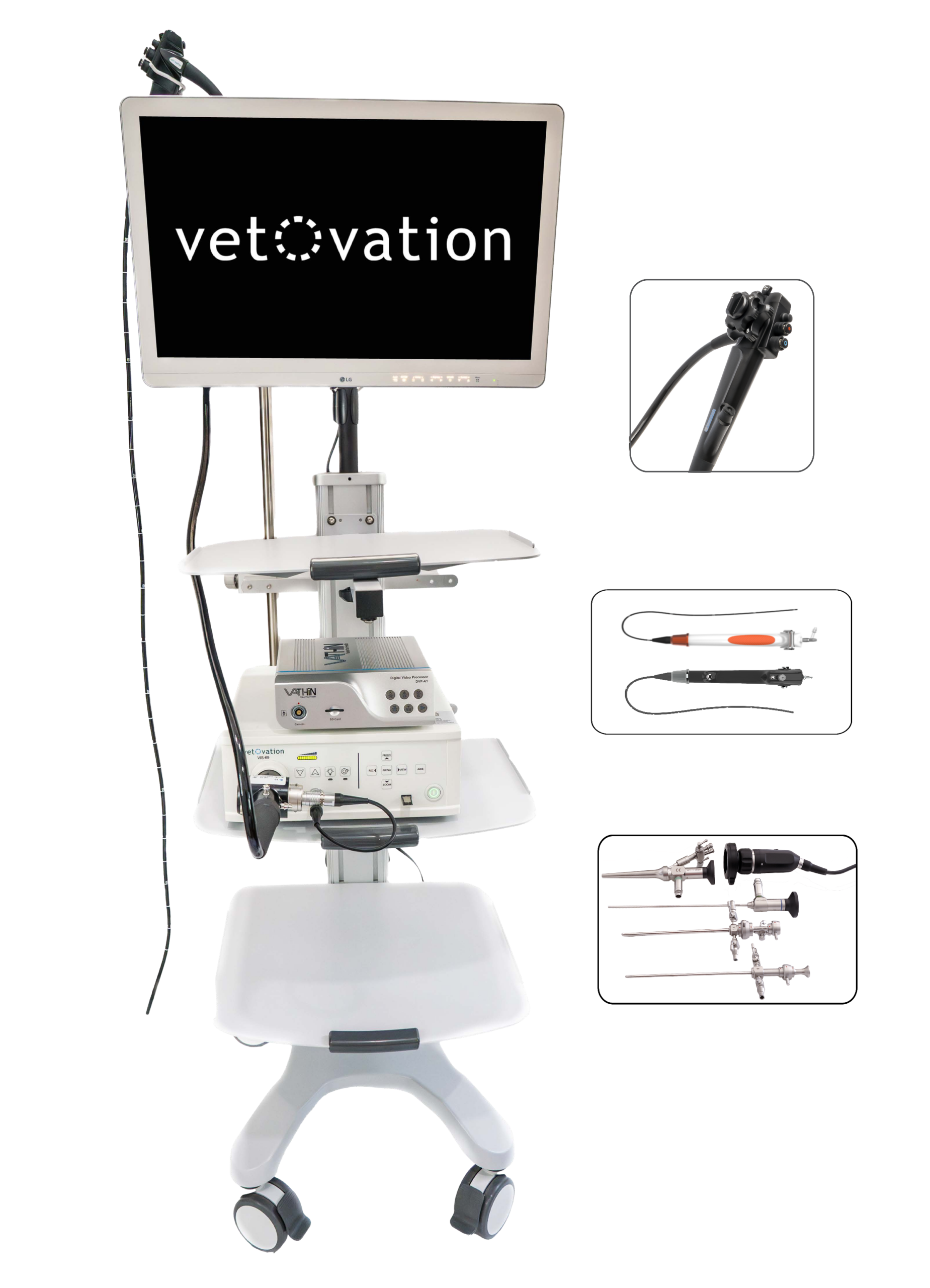 gastro with VoV white - simple v3