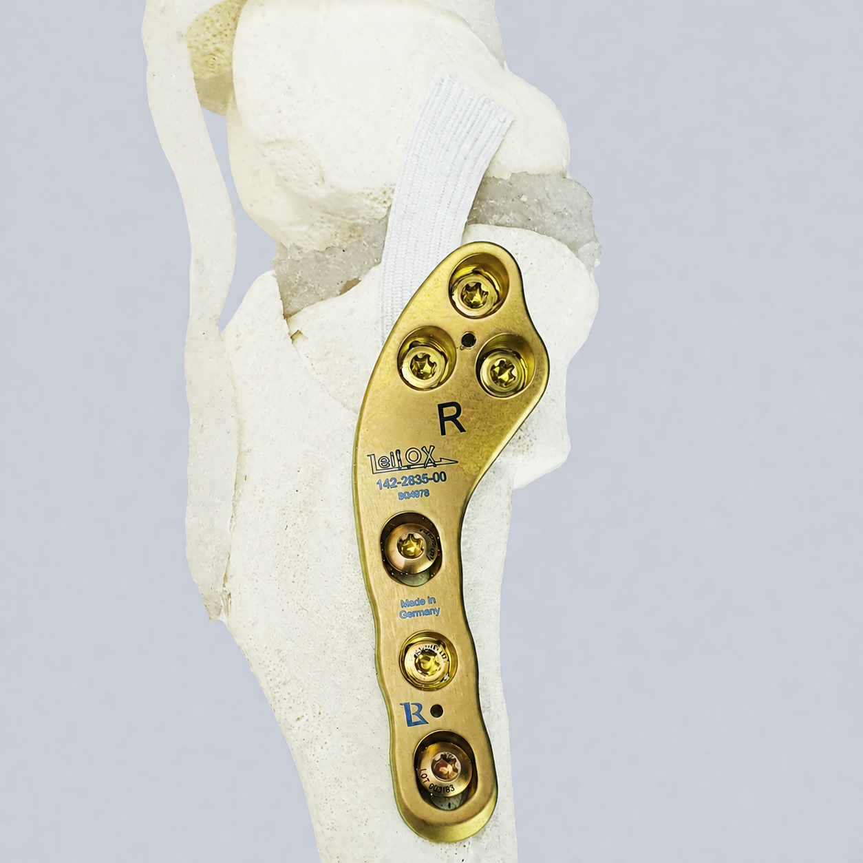 TPLO Sawbone Category pic